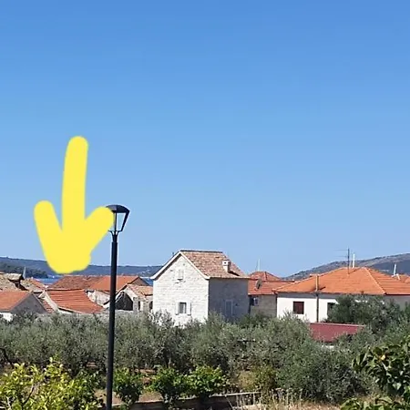 Lemon Tree Gæstehus