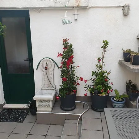 Gæstehus Lemon Tree 3*